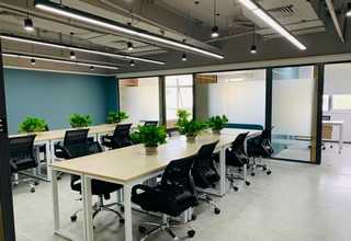 南京各区专业植物出租公司