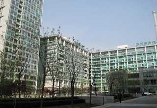 浦东新区化工上海绿化工程工厂