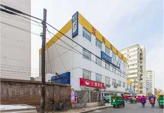 内蒙古种植城镇绿化苗怎么样