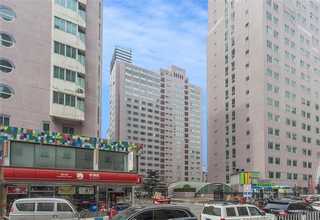 天津金刚网采购