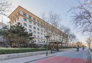 河南红枣茶便宜吗