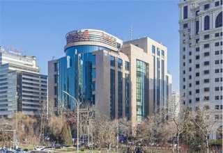 农安夏堇花批发