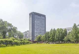 南沙区钢骨水泥推荐