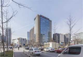 云南七子饼普洱茶生茶